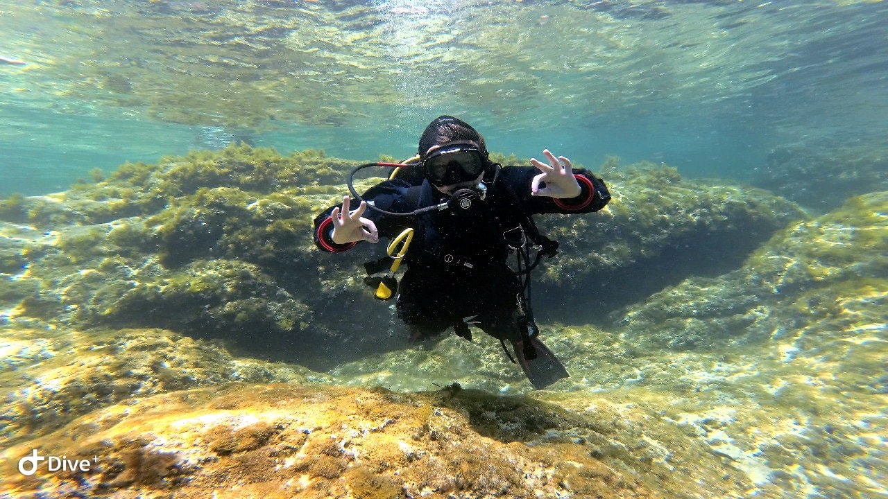 PADI Courses - PADI Rescue Diver